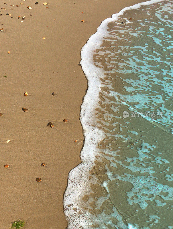 夏日的海滩，清澈平静的海浪拍打着海岸和金色的沙滩，蓝绿色的水反射着蓝天和涟漪，海滩度假，海浪泡沫/泡沫从潮汐和潮湿的沙子在阳光明媚的日子